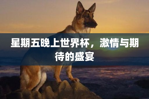 星期五晚上世界杯，激情与期待的盛宴