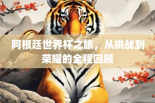 阿根廷世界杯之旅，从挑战到荣耀的全程回顾