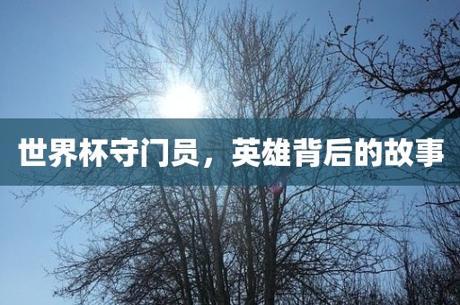 世界杯守门员，英雄背后的故事