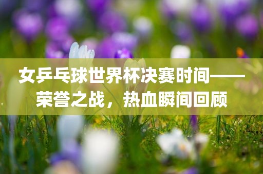 女乒乓球世界杯决赛时间——荣誉之战，热血瞬间回顾