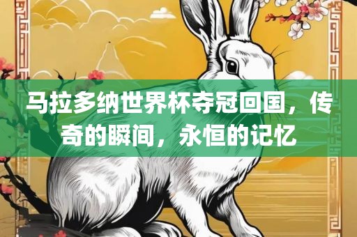 马拉多纳世界杯夺冠回国，传奇的瞬间，永恒的记忆
