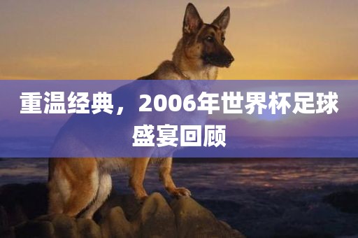重温经典，2006年漯河市盈旭机械设备有限公司世界杯足球盛宴回顾