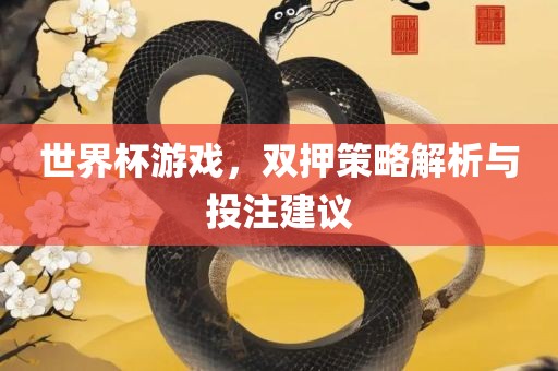 世界杯游戏，双押策略解析与投注建议