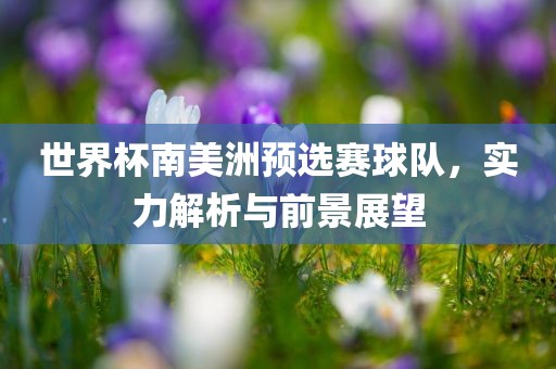 世界杯南美洲预选赛球队，实力解析与前景展望
