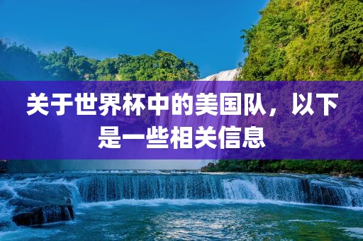 关于世界杯中的美国队，以下是一些相关信息