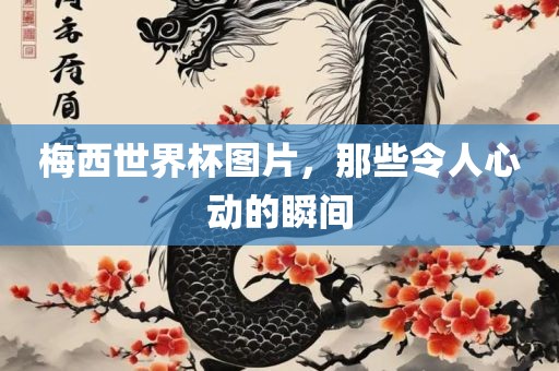 梅西世界杯图片，那些令人心动的瞬间
