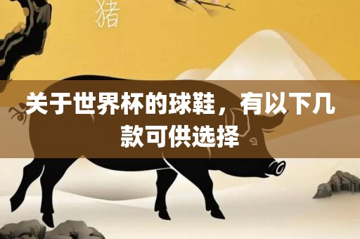 关于世界杯的球鞋，有以下几款可供选择