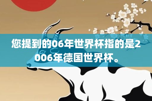 您提到的06年世界杯指的是2006年德国世界杯。