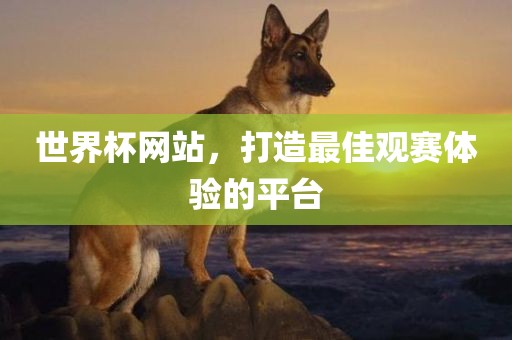 世界杯网站，打造最佳观赛体验的平台
