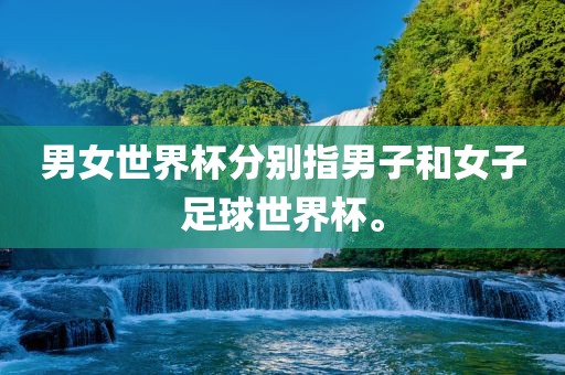男女世界杯分别指男子和女子足球世界杯。
