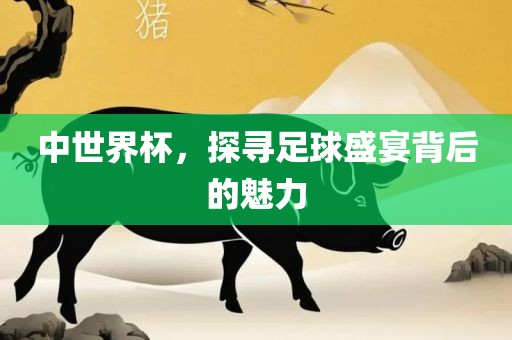 中世界杯，探寻足球盛宴背后的魅力