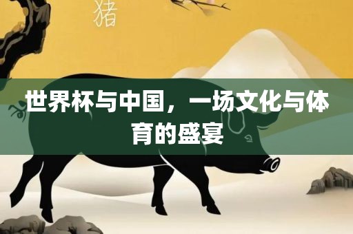 世界杯与中国，一场文化与体育的盛宴