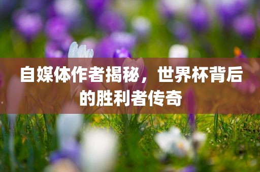 自媒体作者揭秘，世界杯背后的胜利者传奇