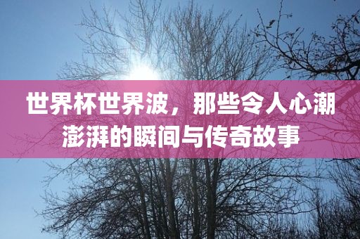 世界杯世界波，那些令人心潮澎湃的瞬间与传奇故事