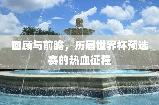 回顾与前瞻，历届世界杯预选赛的热血征程