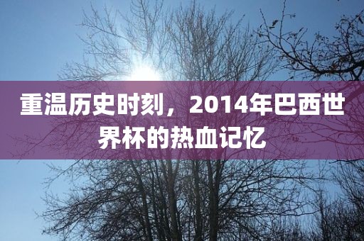 重温历史时刻，2014年巴西世界杯的热血记忆