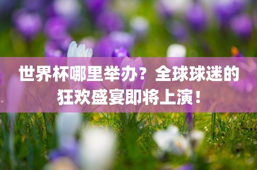 世界杯哪里举办？全球球迷的狂欢盛宴即将上演！