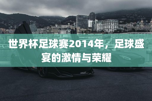 世界杯足球赛2014年，足球盛宴的激情与荣耀