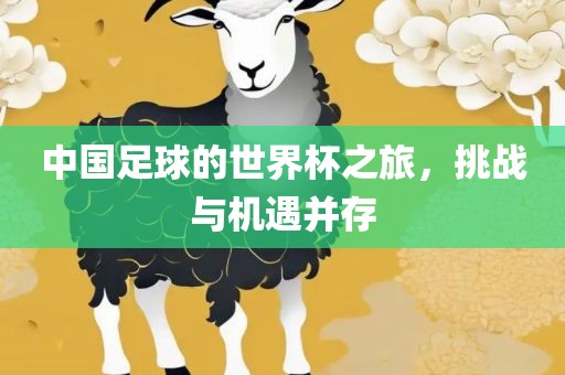 中国足球的世界杯之旅，挑战与机遇并存