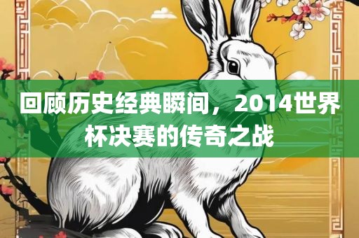 回顾历史经典瞬间，2014世界杯决赛的传奇之战