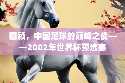 回顾，中国足球的巅峰之战——2002年世界杯预选赛