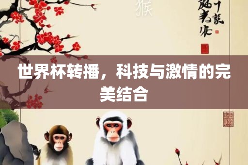 世界杯转播，科技与激情的完美结合