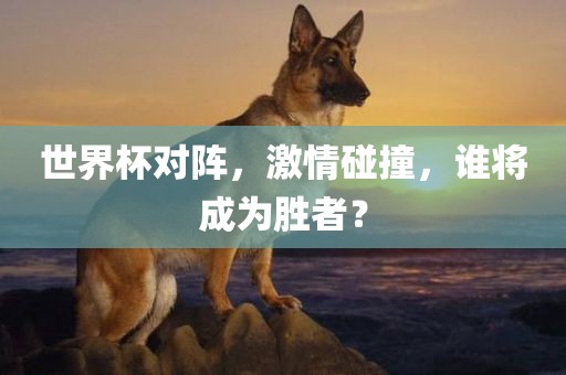 世界杯对阵，激情碰撞，谁将成为胜者？