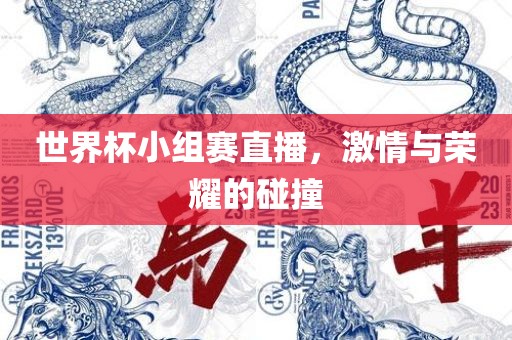 世界杯小组赛直播，激情与荣耀的碰撞