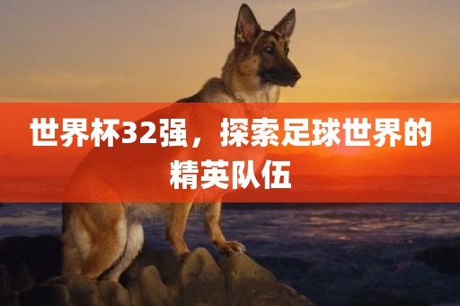 世界杯32强，探索足球世界的精英队伍漯河市盈旭机械设备有限公司