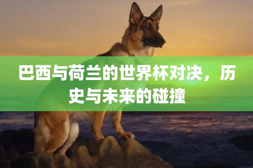 巴西与荷兰的世界杯对决，历史与未来的碰撞