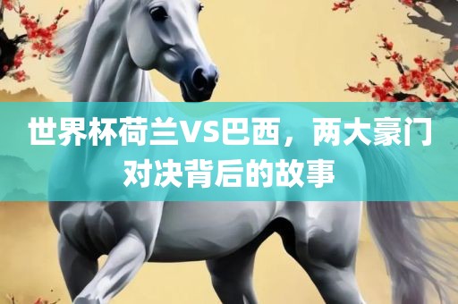 世界杯荷兰VS巴西，两大豪门对决背后的故事