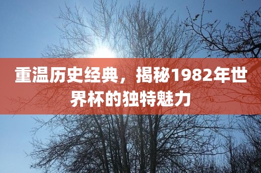 重温历史经典，揭秘1982年世界杯的独特魅力