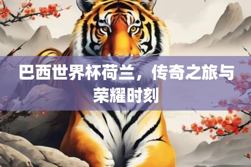 巴西世界杯荷兰，传奇之旅与荣耀时刻