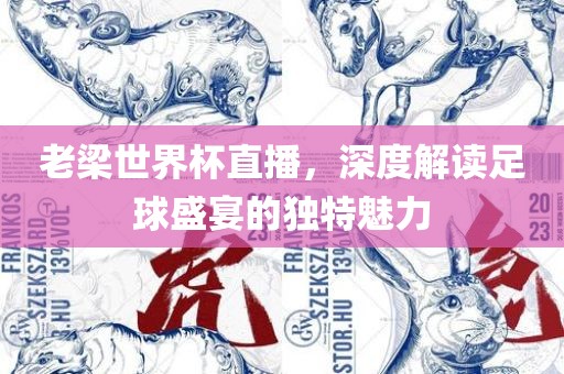 老梁世界杯直播，深度解读足球盛宴的独特魅力