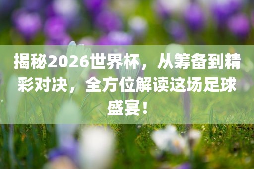 揭秘2026世界杯，从筹备到精彩对决，全方位解读这场足球盛宴！