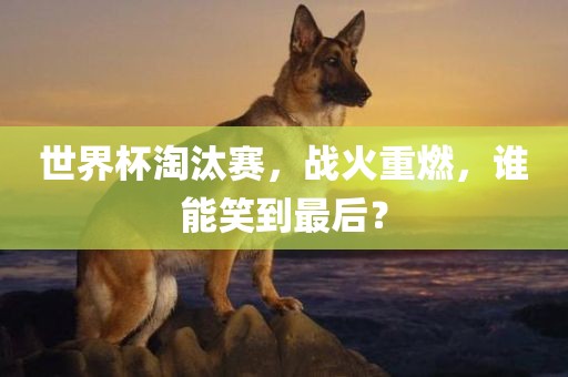 世界杯淘汰赛，战火重燃，谁能笑到最后？