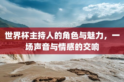 世界杯主持人的角色与魅力，一场声音与情感的交响