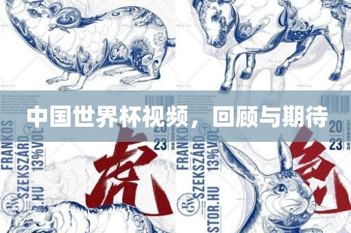 中国世界杯视频，回顾与期待