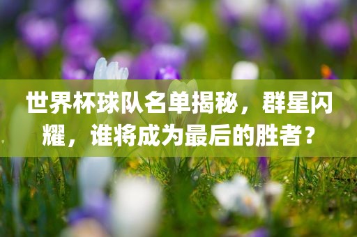 世界杯球队名单揭秘，群星闪耀，谁将成为最后的胜者？漯河市盈旭机械设备有限公司