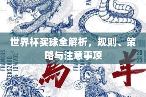 世界杯买球全解析，规则、策略与注意事项