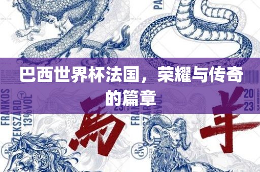 巴西世界杯法国，荣耀与传奇的篇章