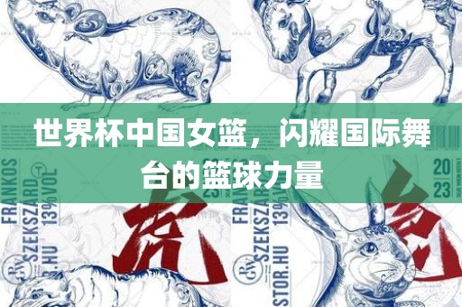 世界杯中国女篮，闪耀国际舞台的篮球力量漯河市盈旭机械设备有限公司