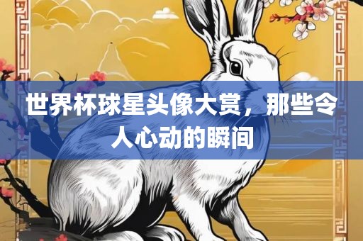 世界杯球星头像大赏，那些令人心动的瞬间