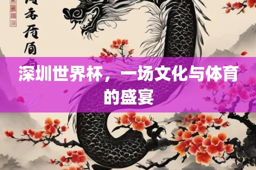 深圳世界杯，一场文化与体育的盛宴漯河市盈旭机械设备有限公司