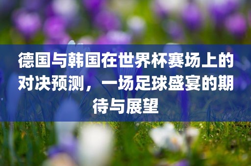 德国与韩国在世界杯赛场上的对决预测，一场足球盛宴的期待与展望