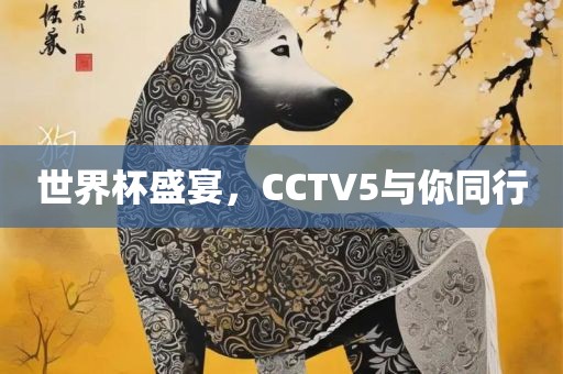 世界杯盛宴，CCTV5与你同行