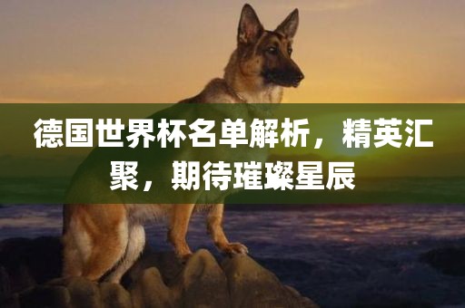 德国世界杯名单解析，精英汇聚，期待璀璨星辰