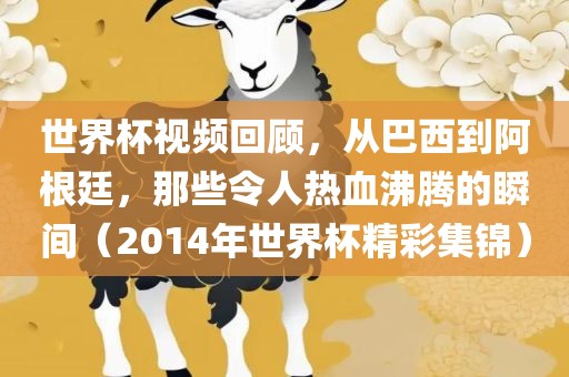 世界杯视频回顾，从巴西到阿根廷，那些令人热血沸腾的瞬间（2014年世界杯精彩集锦）