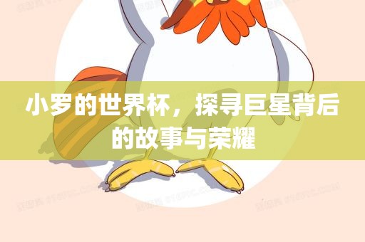 小罗的世界杯，探寻巨星背后的故事与荣耀