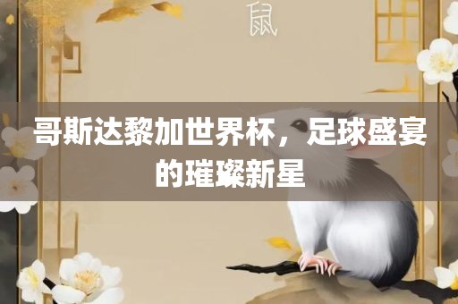 哥斯达黎加世界杯，足球盛宴的璀璨新星
